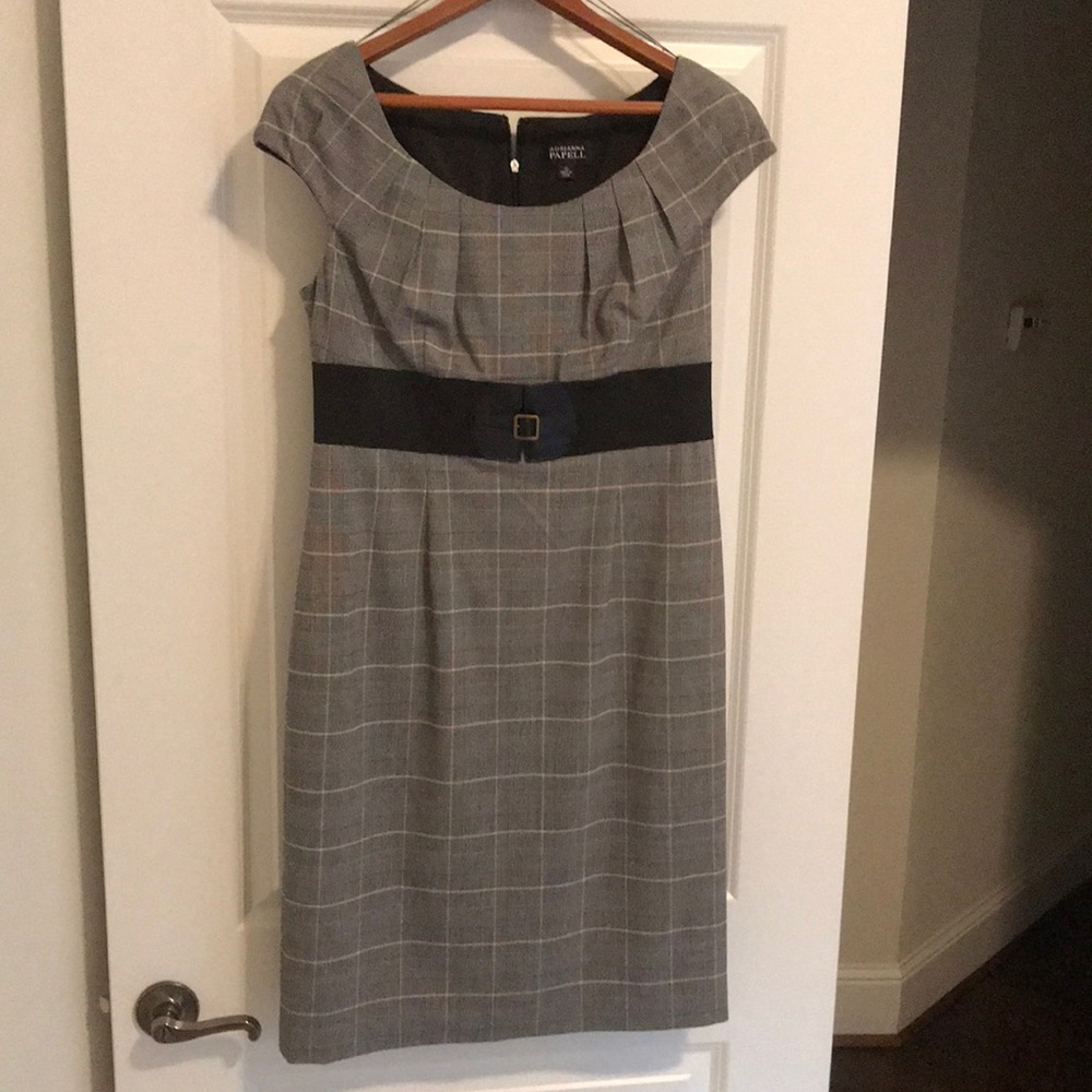 Adraban Papell size 10 beautiful dress. NWOT